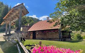 Konak Mandica Avlija